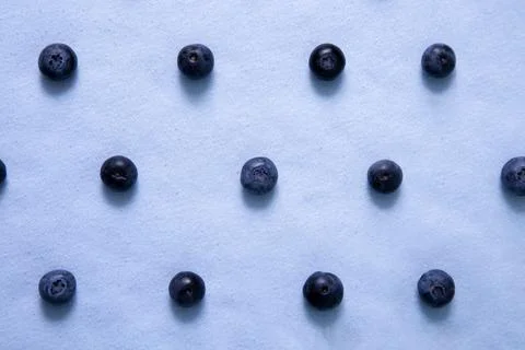 Pattern of parallel rows of blueberries on a purple background Foto stock