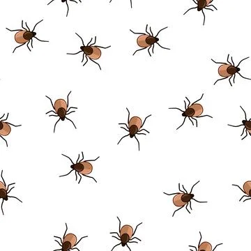 Pattern Parasite tick insect vector transmitting disease Illustrazione stock