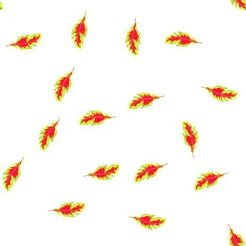 Pattern parrot feather exotic bird cartoon vector 库存插图
