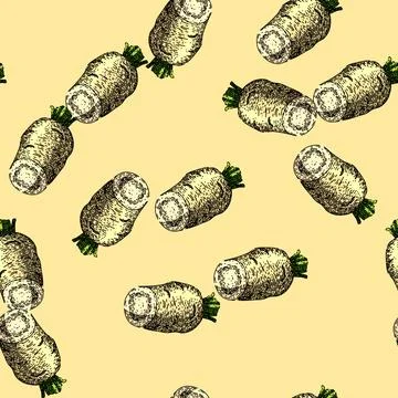 Pattern parsnip root fresh sketch hand drawn Stock Illustration