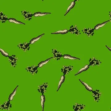 Pattern parsnip root natural sketch hand drawn Stock Illustration