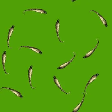 Pattern parsnip root nutrition sketch hand drawn Stock Illustration