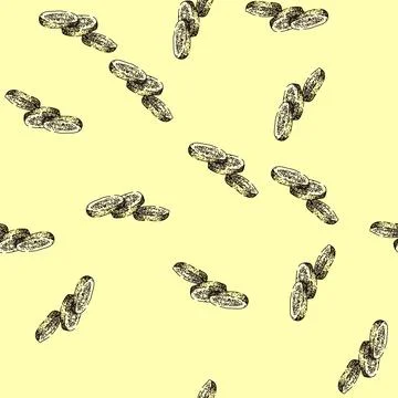 Pattern parsnip root raw sketch hand drawn Stock Illustration