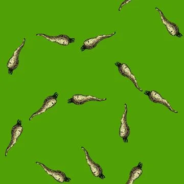 Pattern parsnip root ripe sketch hand drawn Illustrazione stock
