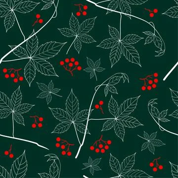 Pattern parthenocissus Illustrazione stock