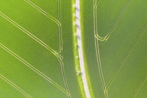 Pattern of path and tractor tracks in a field, aerial view like leaf structure, Stock Photos