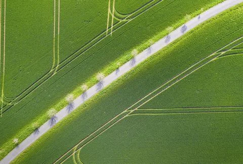Pattern of path and tractor tracks in a field, aerial view like leaf structure, Stock Photos