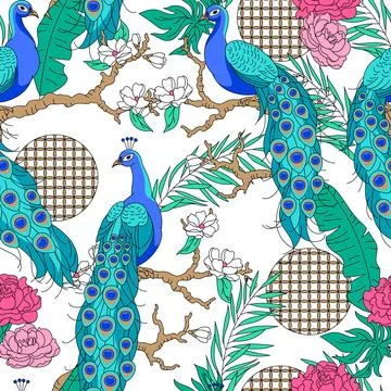 Pattern with peacocks garden. Tropical exotic birds. Wild fauna of jungle. Stock Illustration