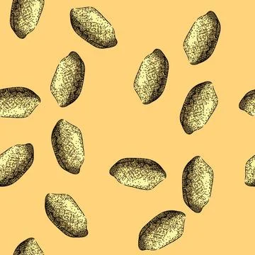 Pattern peanut nut food delicious sketch hand drawn Stock Illustration
