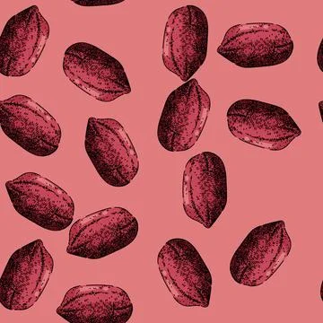 Pattern peanut nut food dried sketch hand drawn Stock Illustration