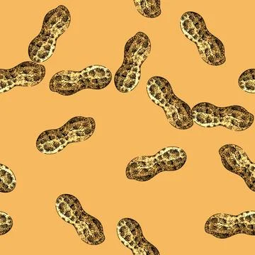 Pattern peanut nut food nutrition sketch hand drawn Stock Illustration