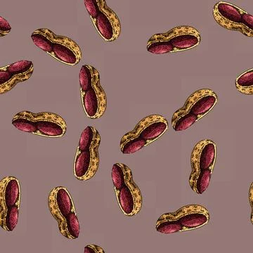 Pattern peanut nut food sketch hand drawn Stock Illustration