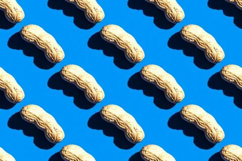 Pattern of peanuts with shell. Fashionable sunny pattern of peanuts with shel Stock Photos