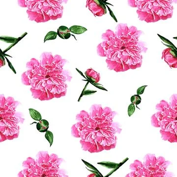 Pattern with peonies pink peonies on a white background Stock Illustration