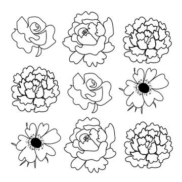 Pattern with peonies, roses and anemones. The botanical print doodle Stock Illustration