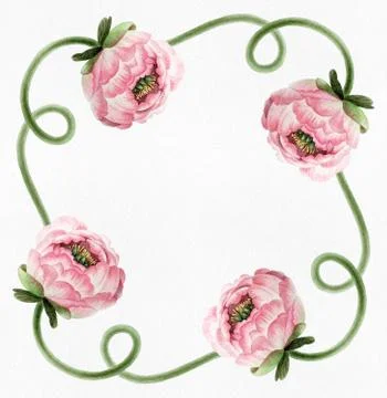 Pattern with peony Stock Illustration