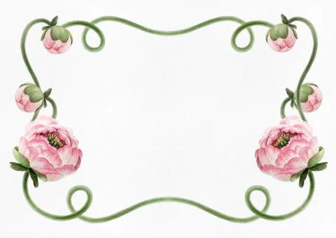 Pattern with peony Stock Illustration