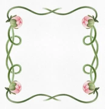 Pattern with peony Stock Illustration