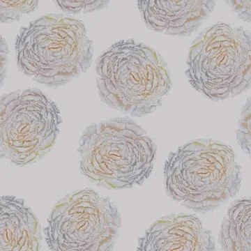 Pattern peony Stock Illustration