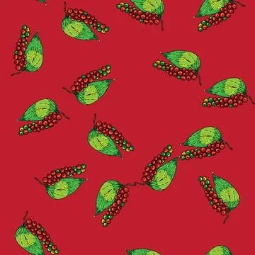 Pattern peppercorn pepper branch sketch hand drawn Stock Illustration