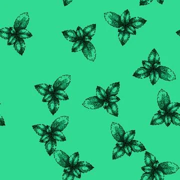 Pattern peppermint mint sketch hand drawn 库存插图