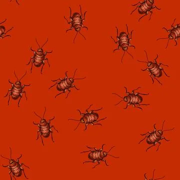 Pattern pest cockroach sketch hand drawn Stock Illustration