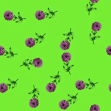 Pattern petal dahlia sketch hand drawn Stock Illustration