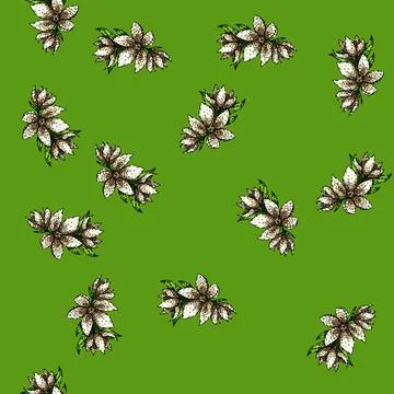 Pattern petal jasmine sketch hand drawn 스톡 일러스트