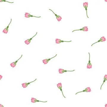 Pattern petal sakura cherry blossom cartoon vector Illustrazione stock