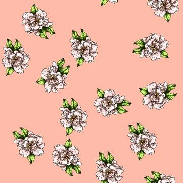 Pattern petals gardenia sketch hand drawn Stock Illustration
