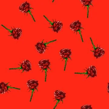 Pattern petals rose flower sketch hand drawn Stock Illustration