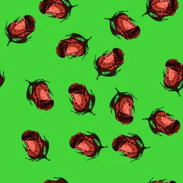 Pattern petals rose sketch hand drawn Illustrazione stock