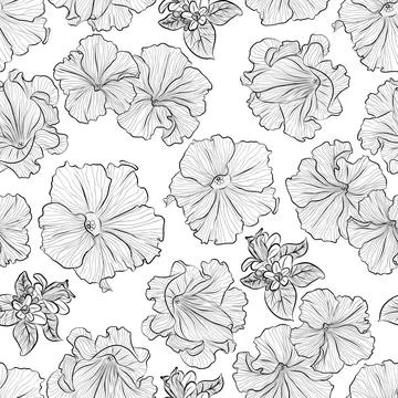 Pattern with petunia Stock Illustration