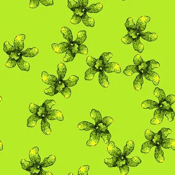 Pattern phalaenopsis orchid sketch hand drawn Stock Illustration