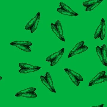 Pattern philodendron tropical leaf sketch hand drawn Stock Illustration