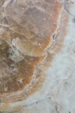 Pattern Stock Photos