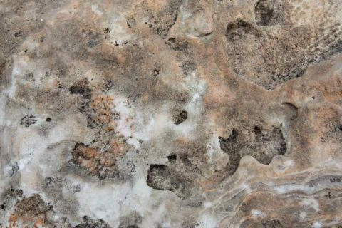 Pattern Stock Photos