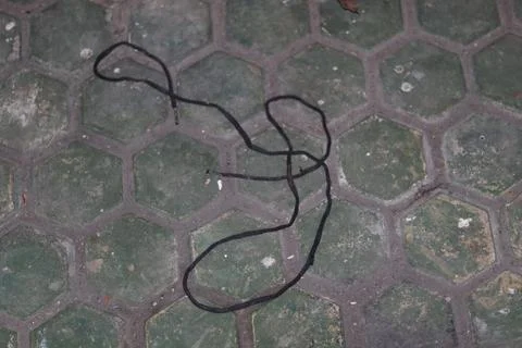 Pattern Stock Photos