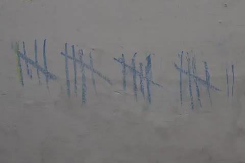 Pattern Stock Photos