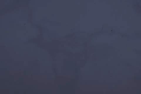 Pattern Stock Photos