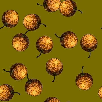 Pattern physalis fruit berry sketch hand drawn Stock Illustration