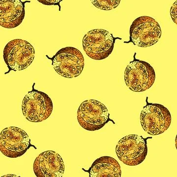 Pattern physalis nature berry sketch hand drawn Stock Illustration