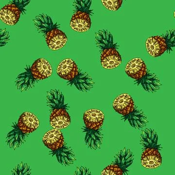 Pattern pineapple cut sketch hand drawn Stock Illustration