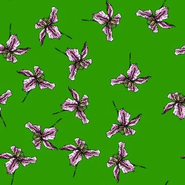 Pattern pink clematis sketch hand drawn Illustrazione stock