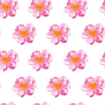 Pattern with pink flowers Stock Illustration