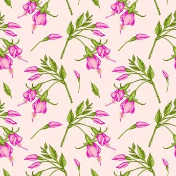 Pattern with pink fuchsia flowers. Stock Illustration