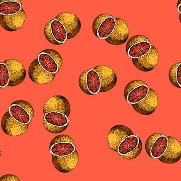 Pattern pink grapefruit red sketch hand drawn Stock Illustration