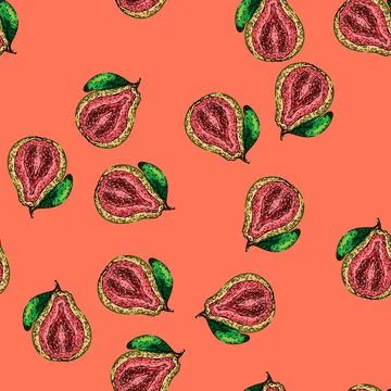 Pattern pink guava fruit sketch hand drawn Stock Illustration