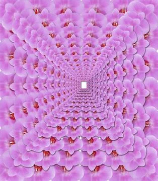 Pattern from pink petals of orchid Stock Illustration