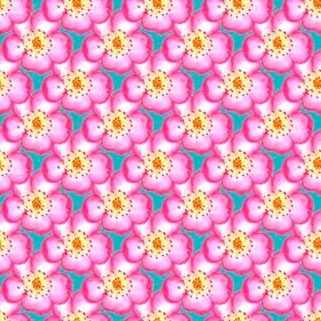 Pattern pink rose hips. Roses seamless pattern. Watercolor. Stock Illustration